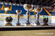 Hokejov turnaj velitea zk Slia