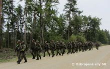 Mechanizovan rota brigdy cvi so silami NATO v nemeckom Hohenfelse
